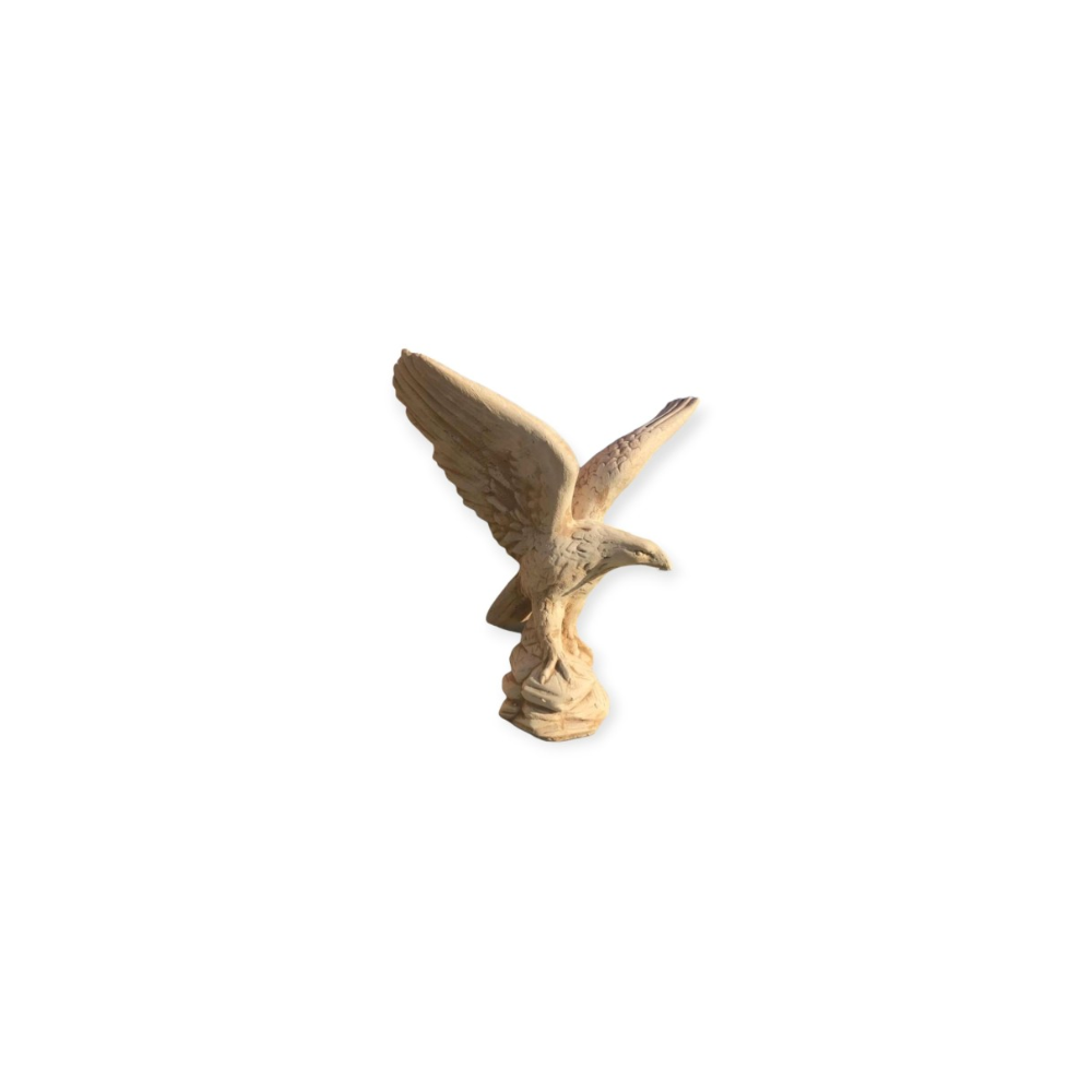 Aquila