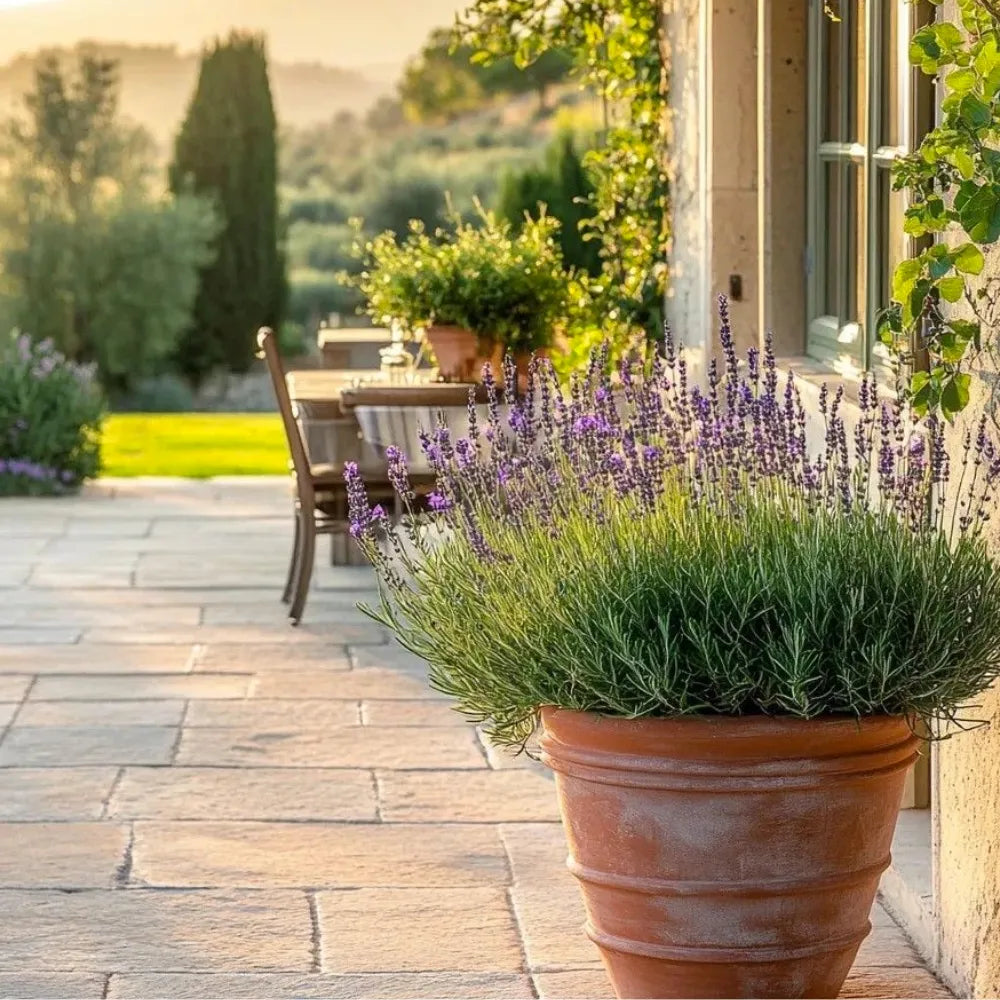 I Vantaggi della Pietra Albanese Applicata all’Esterno