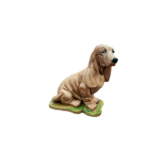 Cane