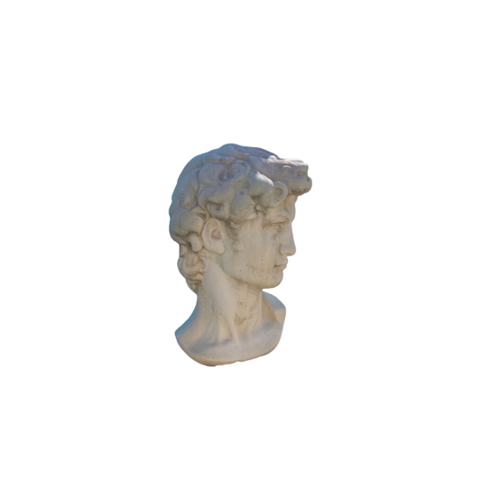 Busto del “David” di Michelangelo