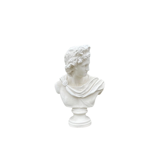 Busto Apollo
